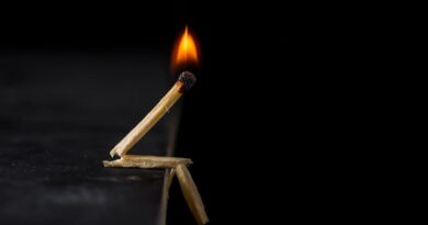 Design Projects to Ignite Your Imagination