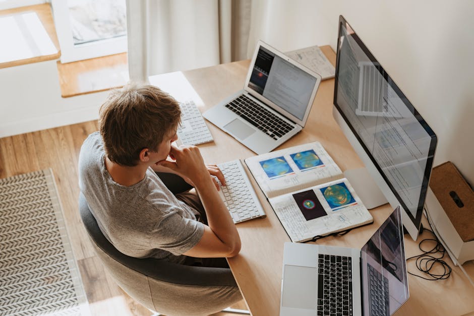 Essential Elements of a Web Development Portfolio