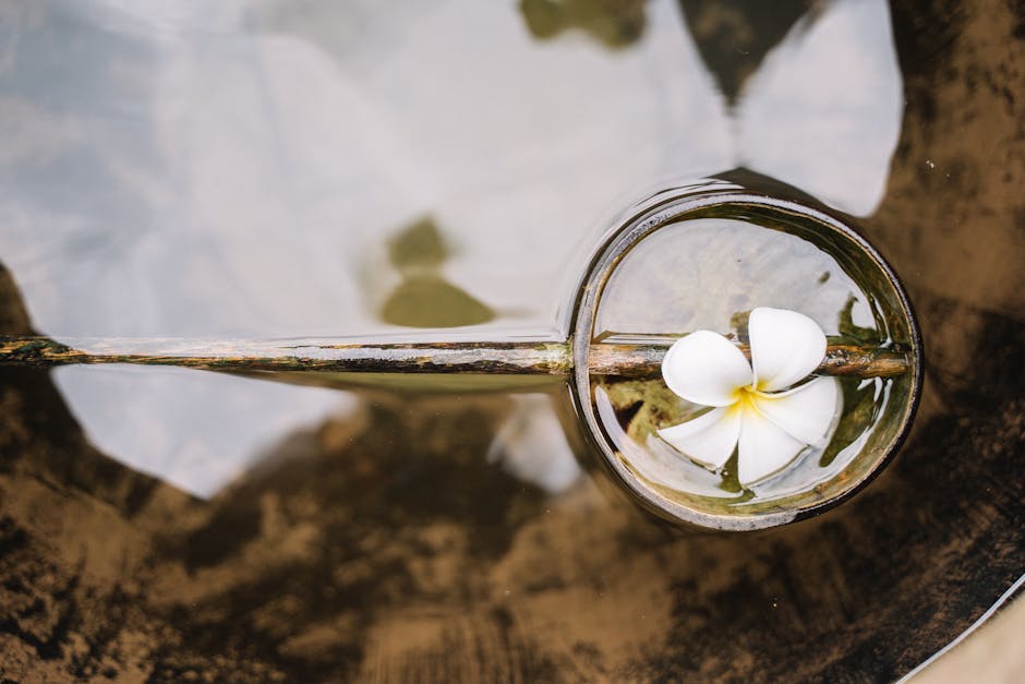 Aesthetic Photography: The Beauty of Simplicity