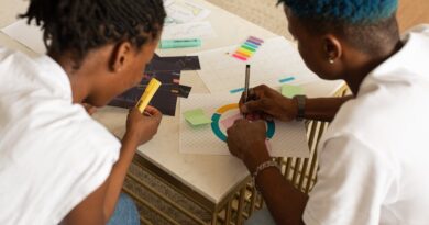 Unleashing Creativity: Design Project Highlights