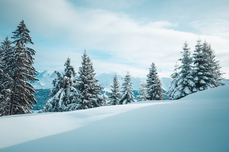 Photographing the Seasons: A Year in Review