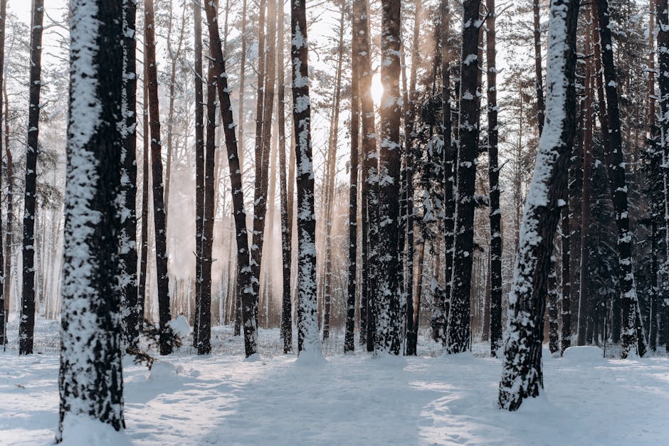 Photographing the Seasons: A Year in Review